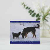 0WCB_boy, ... ポストカード (スタンド正面)