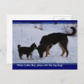 0WCB_boy, ... ポストカード (正面/裏面)