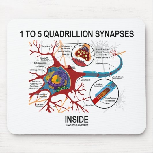 1から5 QuadrillionのSynapsesの内部(ニューロン) マウスパッド (正面)
