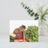 1か籠の野菜の中のモルモット ポストカード (スタンド正面)