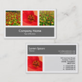 1つと3つの写真-灰色 名刺 (正面/裏面)