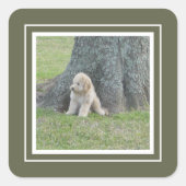 1つのカスタム写真テンプレートグリーン&ホワイトフレーム スクエアシール (正面)