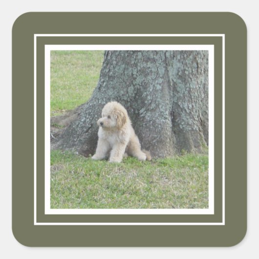 1つのカスタム写真テンプレートグリーン&ホワイトフレーム スクエアシール (正面)