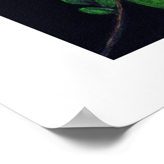 「1つのバラ」 ポスター (角)