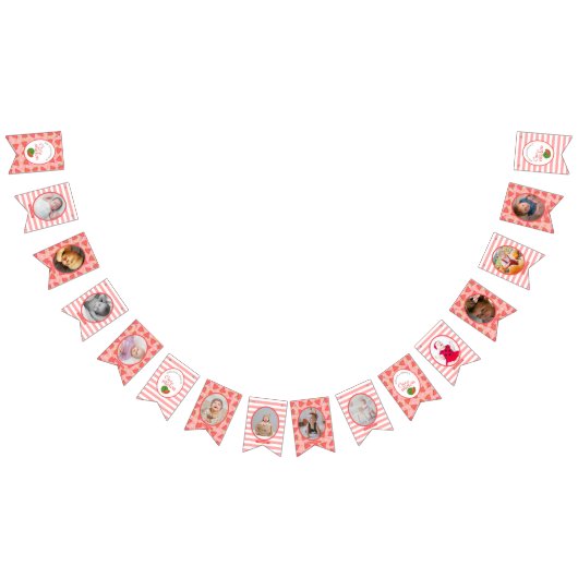 1つのメロンの1つ最初の誕生日スイカ写真バント バンティングフラッグ (全)