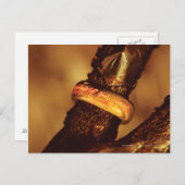 1つのリングや輪で全員を支配™ ポストカード (正面/裏面)