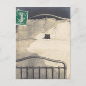 1つの不機嫌子猫! ポストカード (正面)