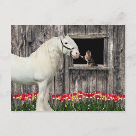 「1つの春の朝」はがき ポストカード (正面)