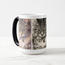 1つの気分 + 3つの雰囲気 = 完全な愛猫家