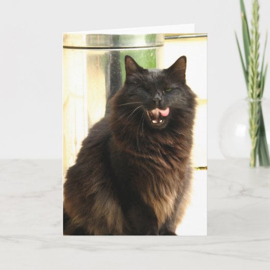 1つの目を持つハロウィンの黒猫 カード (正面)