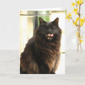 1つの目を持つハロウィンの黒猫 カード (黄色い花)