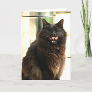 1つの目を持つハロウィンの黒猫 カード