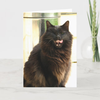 1つの目を持つハロウィンの黒猫 カード