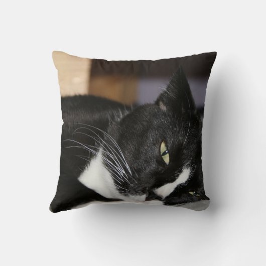 1つの目タキシード猫の白黒にあること開いた クッション (裏面)