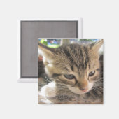 1つの磁石かわいらしをフィッツィ マグネット (正面/裏面)