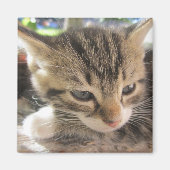 1つの磁石かわいらしをフィッツィ マグネット (正面)