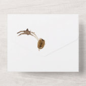 1つの結婚式の招待でコーヒー愛好家 オールインワン招待状 (裏面)