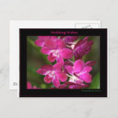 1つの結婚 ポストカード (正面/裏面)