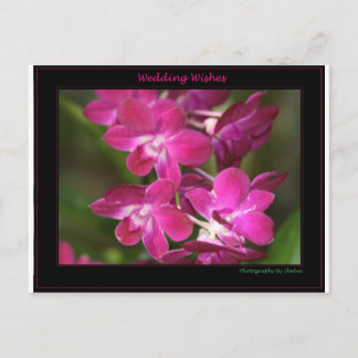 1つの結婚 ポストカード