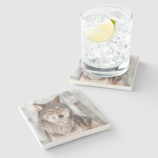 1つの耳の背部を持つオオカミ(イヌ属ループス) ストーンコースター (横)