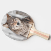 1つの耳の背部を持つオオカミ(イヌ属ループス) 卓球ラケット (横)