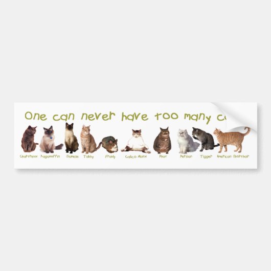 1つは決して余りにも多くの猫を有することができません バンパーステッカー (正面)
