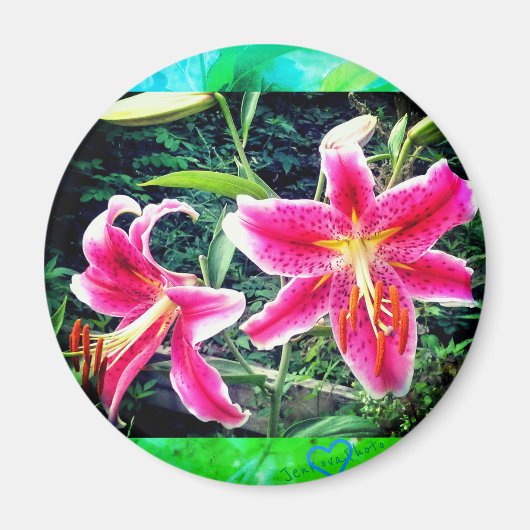 1つめん磁石 マグネット (正面)