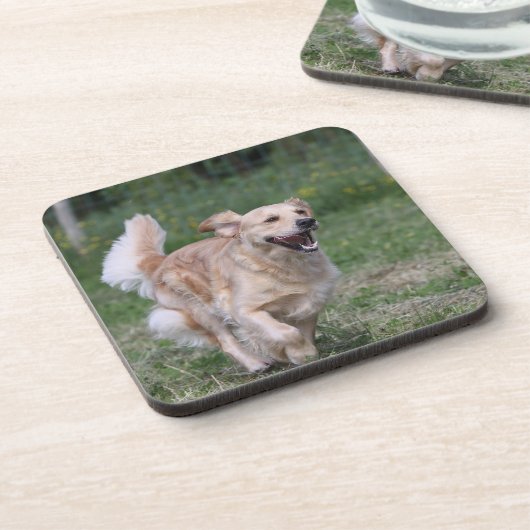 1つを走っているゴールデン・リトリーバー コースター (左側)