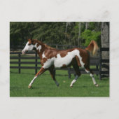 1つを走っているペンキの馬 ポストカード (正面)