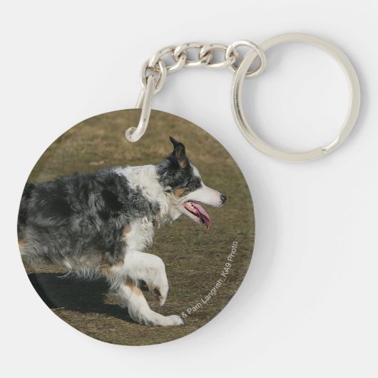 1つを走っているボーダーコリー キーホルダー (裏面)