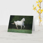 1つを走っているAppaloosaの馬 カード (黄色い花)