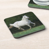 1つを走っているAppaloosaの馬 コースター (左側)