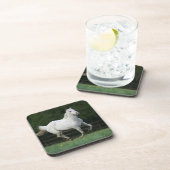 1つを走っているAppaloosaの馬 コースター (右側)