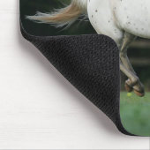 1つを走っているAppaloosaの馬 マウスパッド (コーナー)