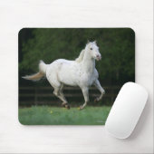 1つを走っているAppaloosaの馬 マウスパッド (マウス)