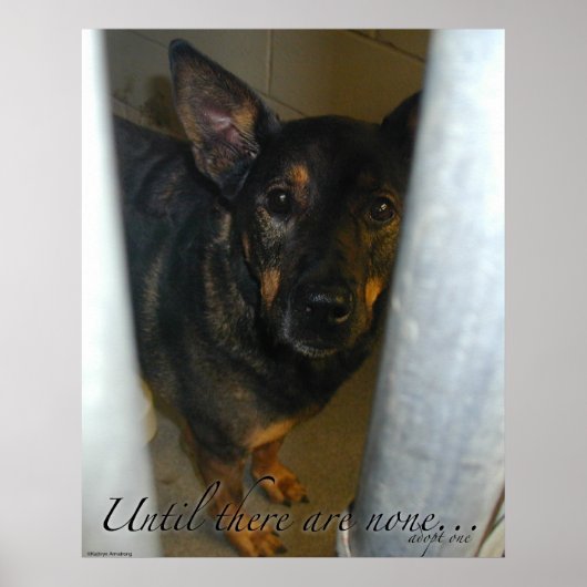 1つ採用!ポスター ポスター (正面)