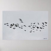 1で渡す ポスター (正面)