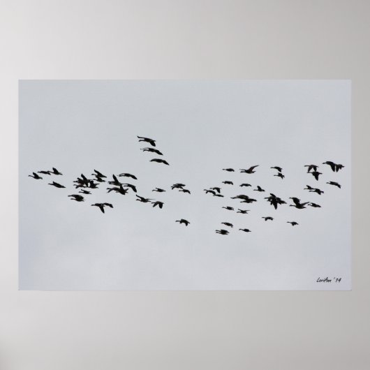 1で渡す ポスター (正面)