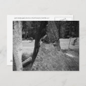 1の上の1つ ポストカード (正面/裏面)