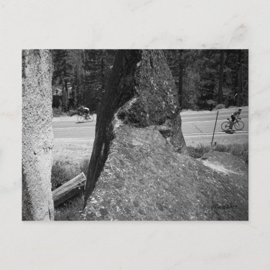 1の上の1つ ポストカード (正面)