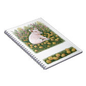 1より多くのApple ノートブック (右側)