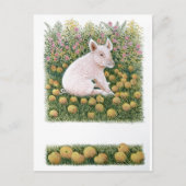 1より多くのApple ポストカード (正面)