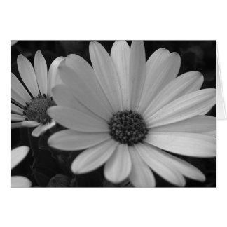 #1を開花します