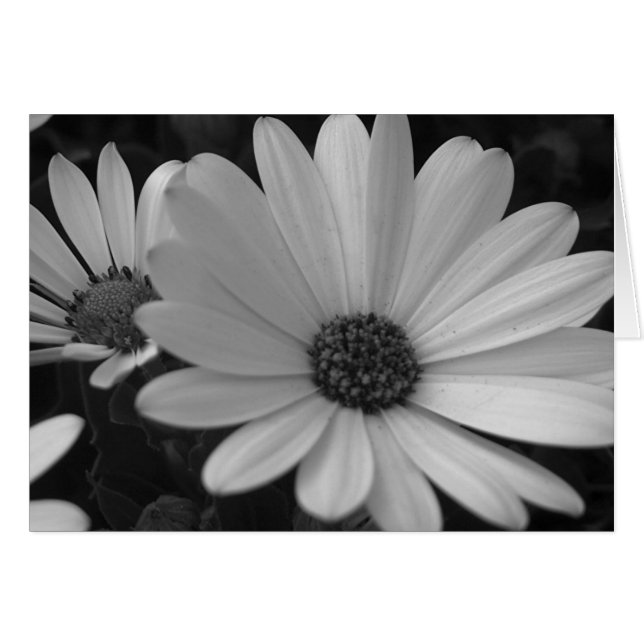 #1を開花します (正面横)