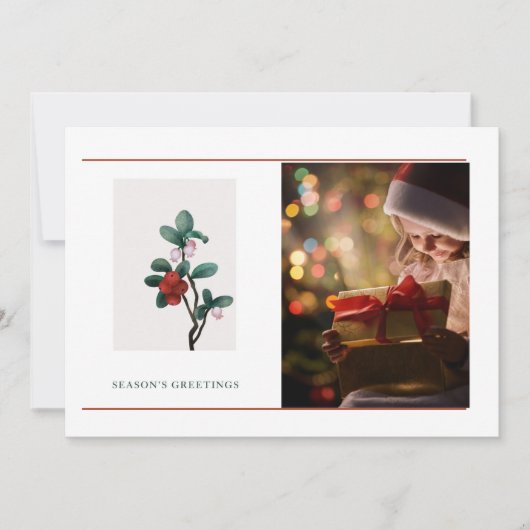 1エレガントフォトシーズンのクリスマス (正面)