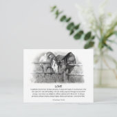 1コリント13：愛、鉛筆の馬 ポストカード (スタンド正面)