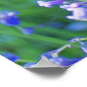 1コリント13、素敵なブルーベルポスター ポスター (角)