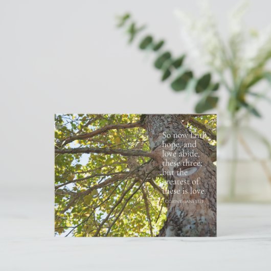 1コリント13:13木の枝はがき ポストカード (スタンド正面)