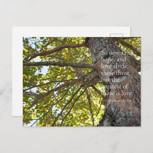 1コリント13:13木の枝はがき ポストカード (正面/裏面)