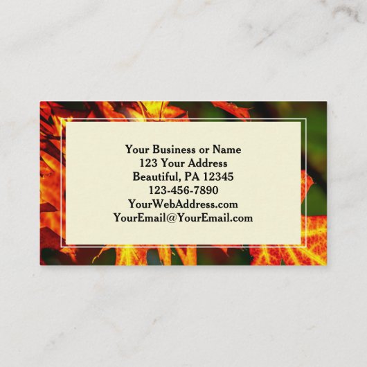 1コリント15:57感謝してい神に行け！ 名刺 (裏面)